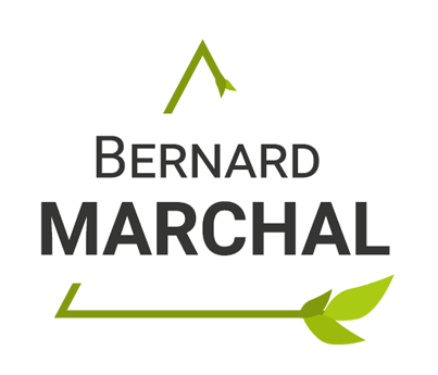 Bernard marchal