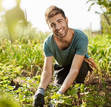 The Best Tools Needed For Setting Up Your Plant